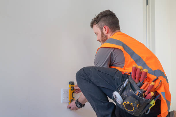 Best Electric Panel Repair  in Castalia, OH